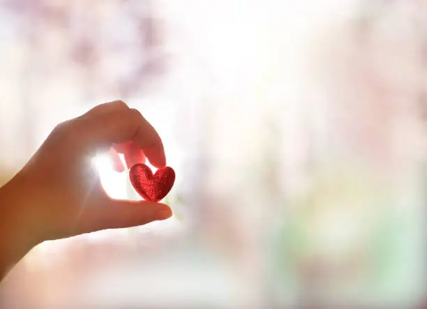 Individual holding a heart in the sunlight